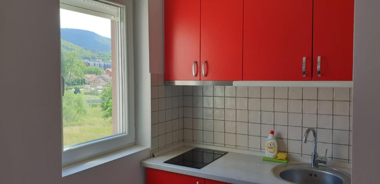 Lux Apartman Ristic 2 Soko Banja Eksteriør bilde